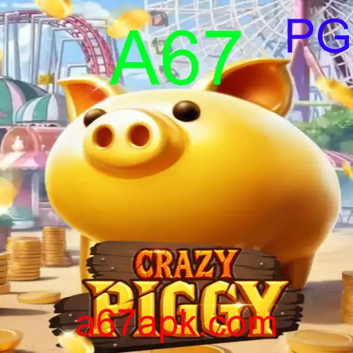 CrazyPiggy